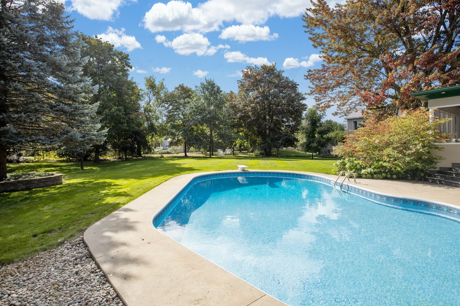 Backyard pool at a home in Garden Ridge, TX